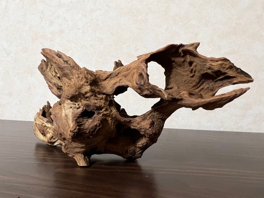 HX-003 流木　ホーンウッド　マシンガンウッド　アクアリウム　ブランチウッド