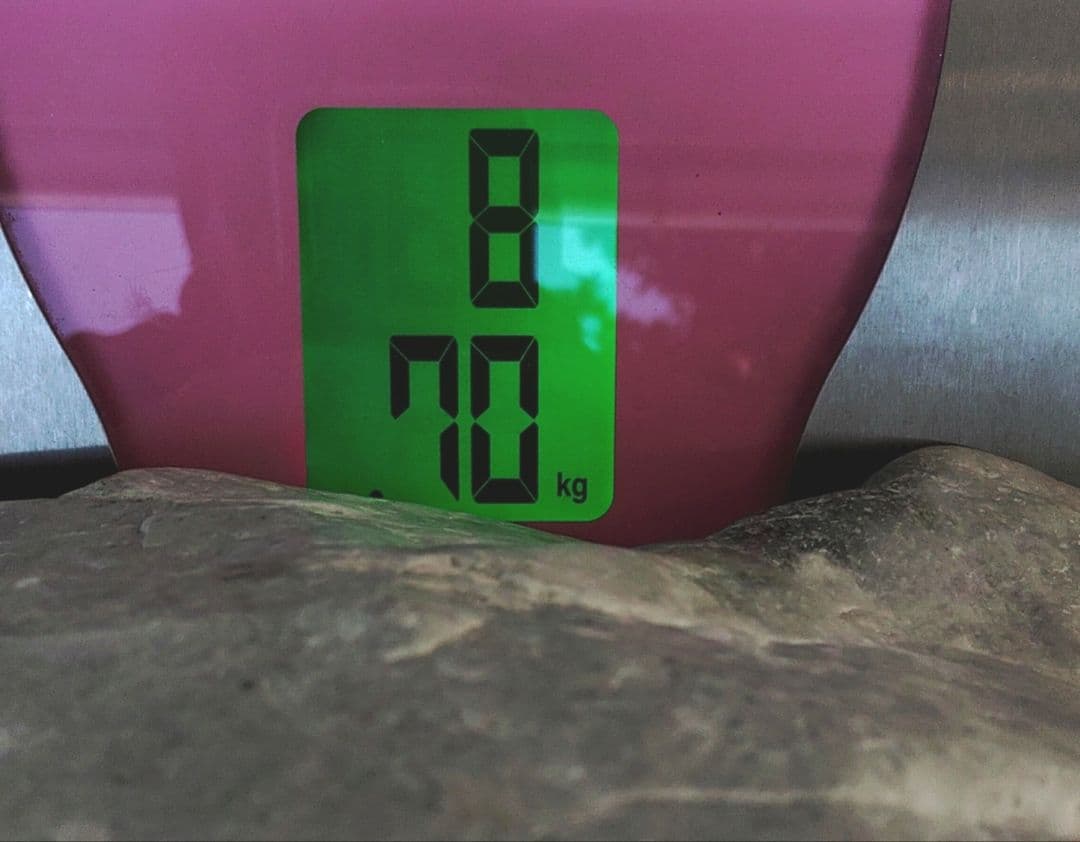 ★翡翠原石★糸魚川硬玉【小滝・転石・底カット】