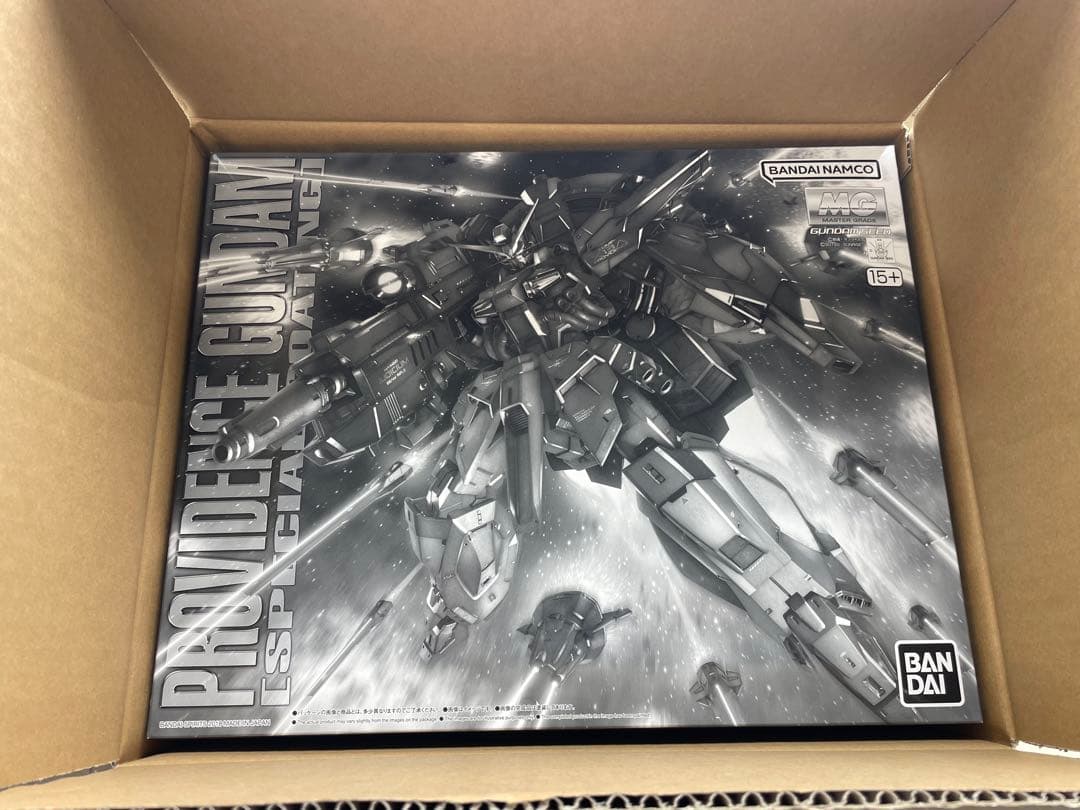 プロヴィデンスガンダム スペシャルコーティングMG 1/100 新品未開封品