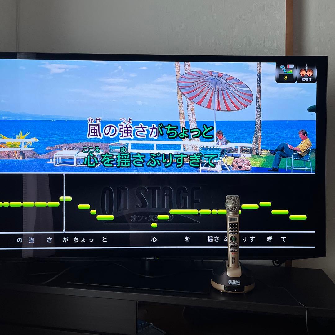 カラオケ　オンステージ　曲数1250曲を内蔵　帰省中のお楽しみに最適です
