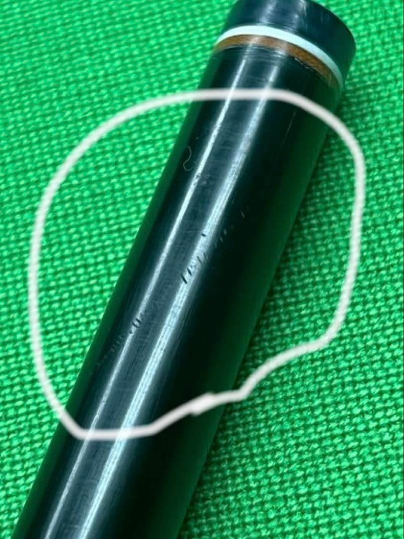 コモドドラゴン様