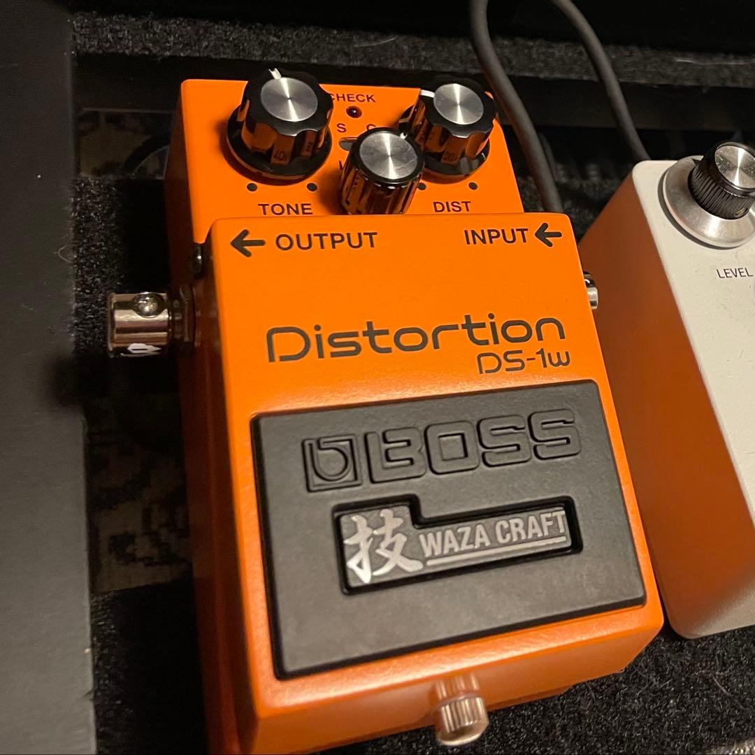 BOSS DS-1W 美品！　画像追加！