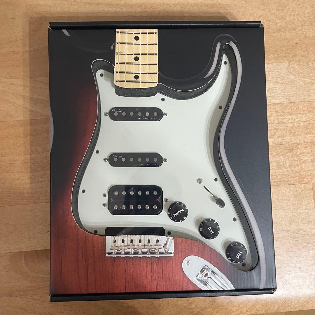 ギター Fender Pre-Wired Strat PG