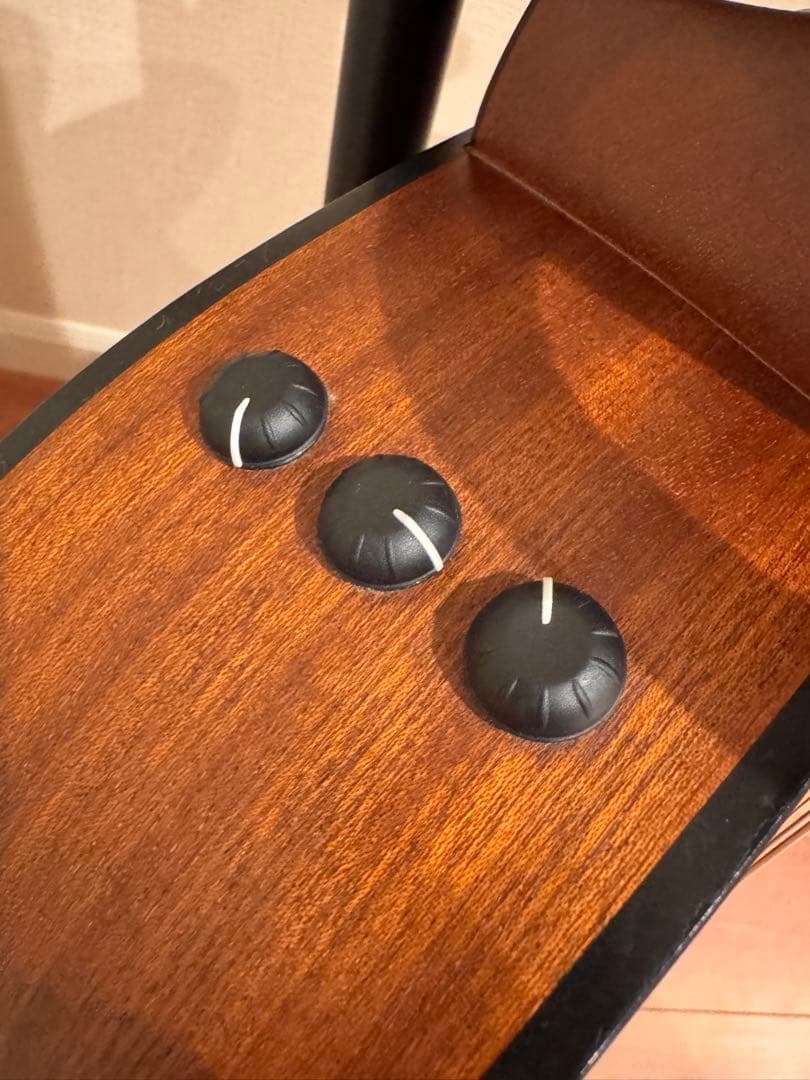 な*こ様 テイラー Taylor 114ce アコースティックギター