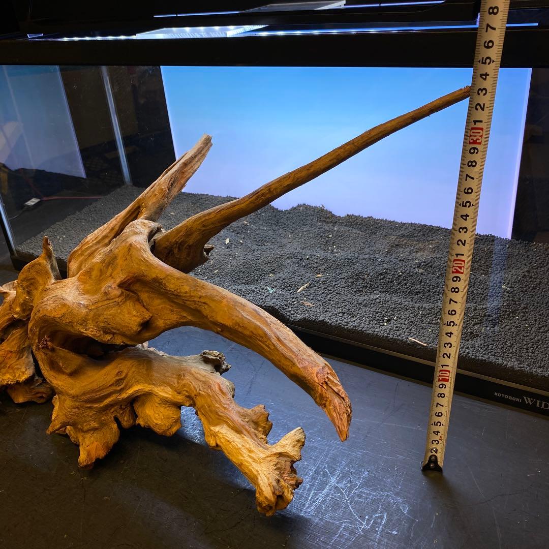 MRW-6371 特大流木　1点物自立　90cm水槽用　アクアリウム　爬虫類