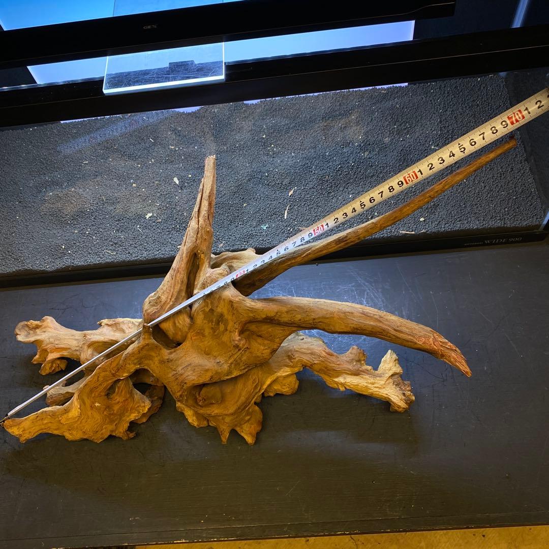 MRW-6371 特大流木　1点物自立　90cm水槽用　アクアリウム　爬虫類