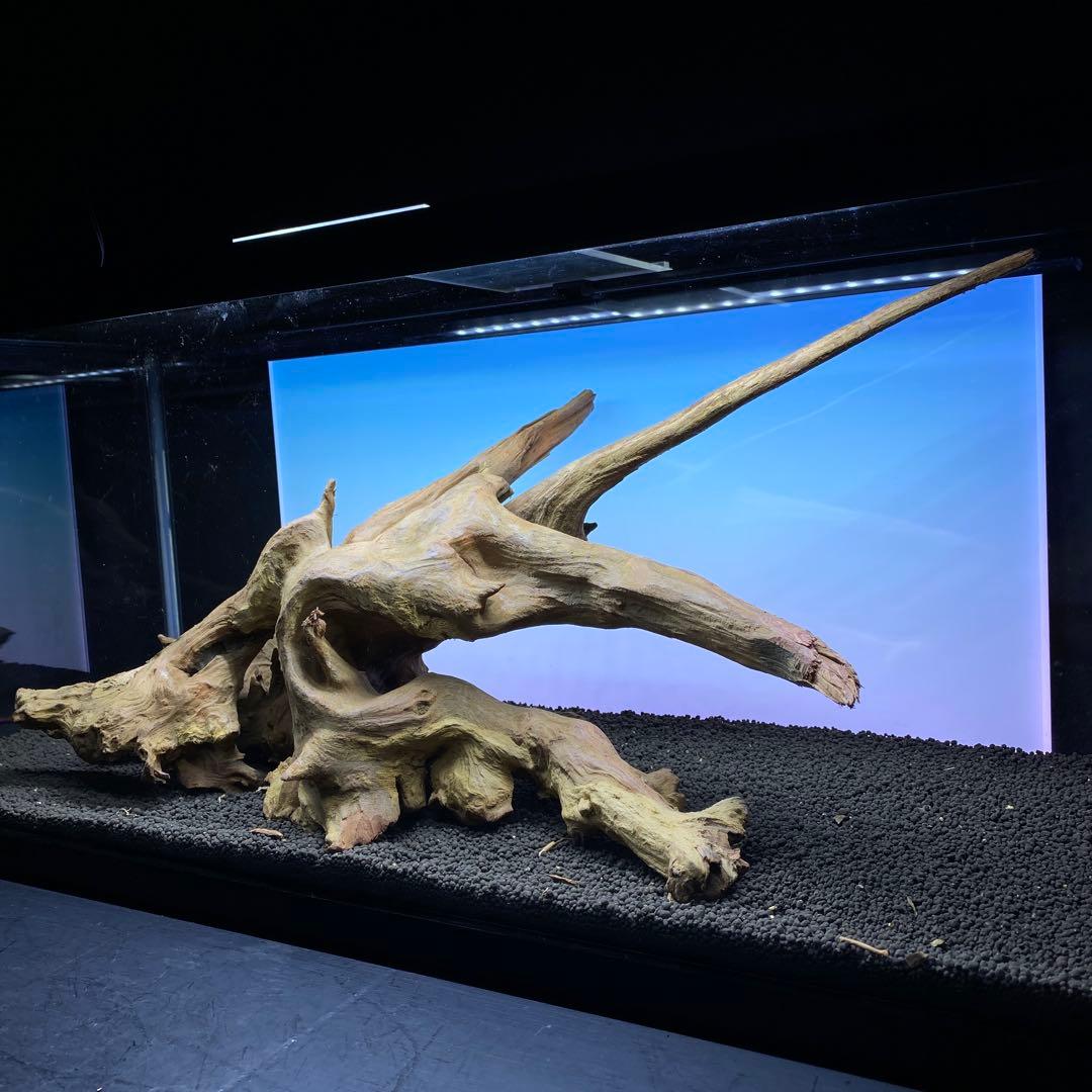 MRW-6371 特大流木　1点物自立　90cm水槽用　アクアリウム　爬虫類