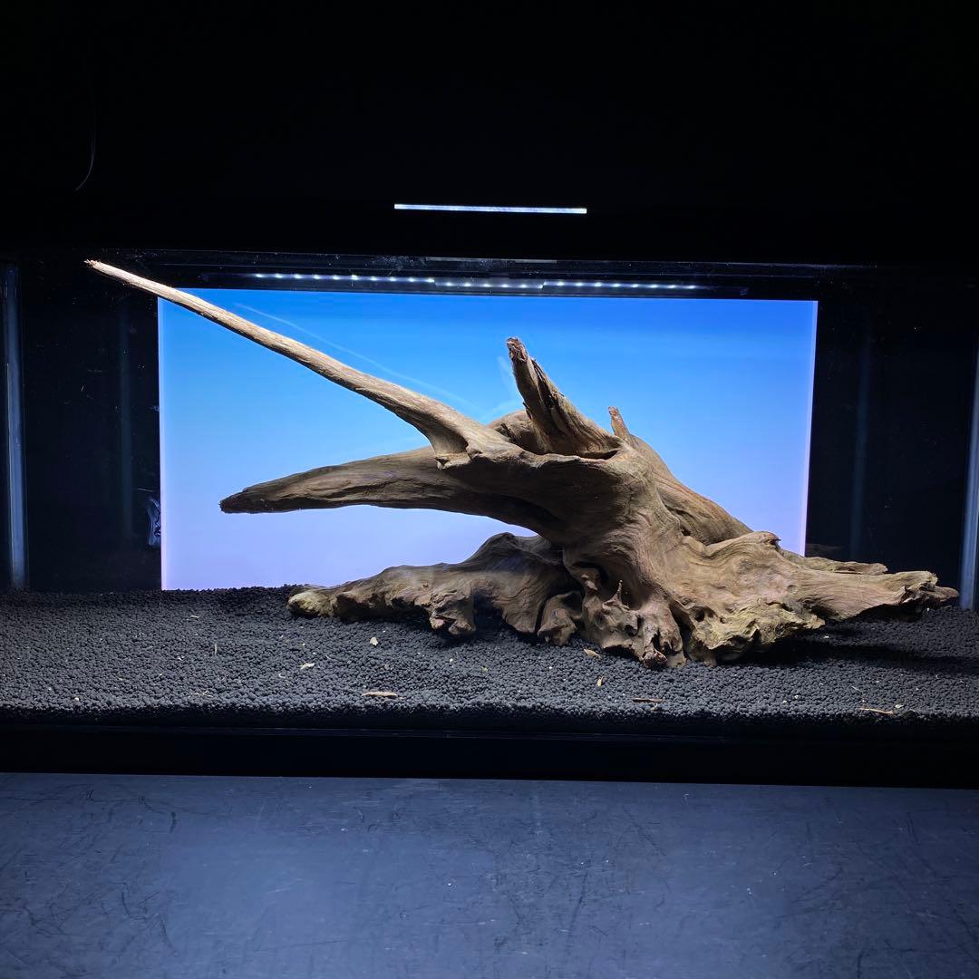 MRW-6371 特大流木　1点物自立　90cm水槽用　アクアリウム　爬虫類