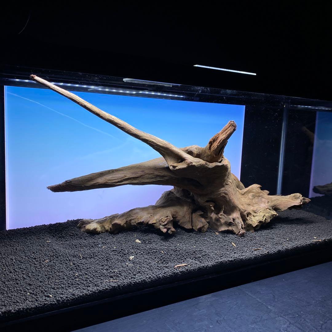 MRW-6371 特大流木　1点物自立　90cm水槽用　アクアリウム　爬虫類