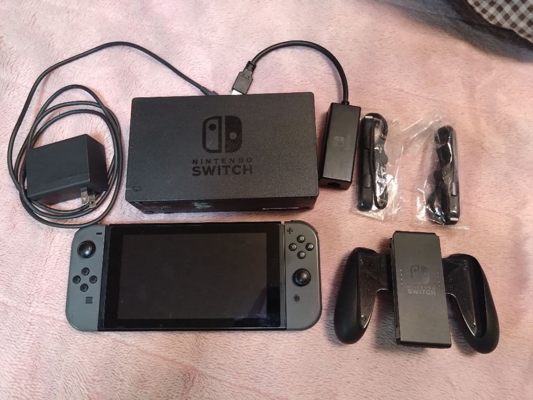 Nintendo Switch 本体 グレー セット 有線接続アダプタ付