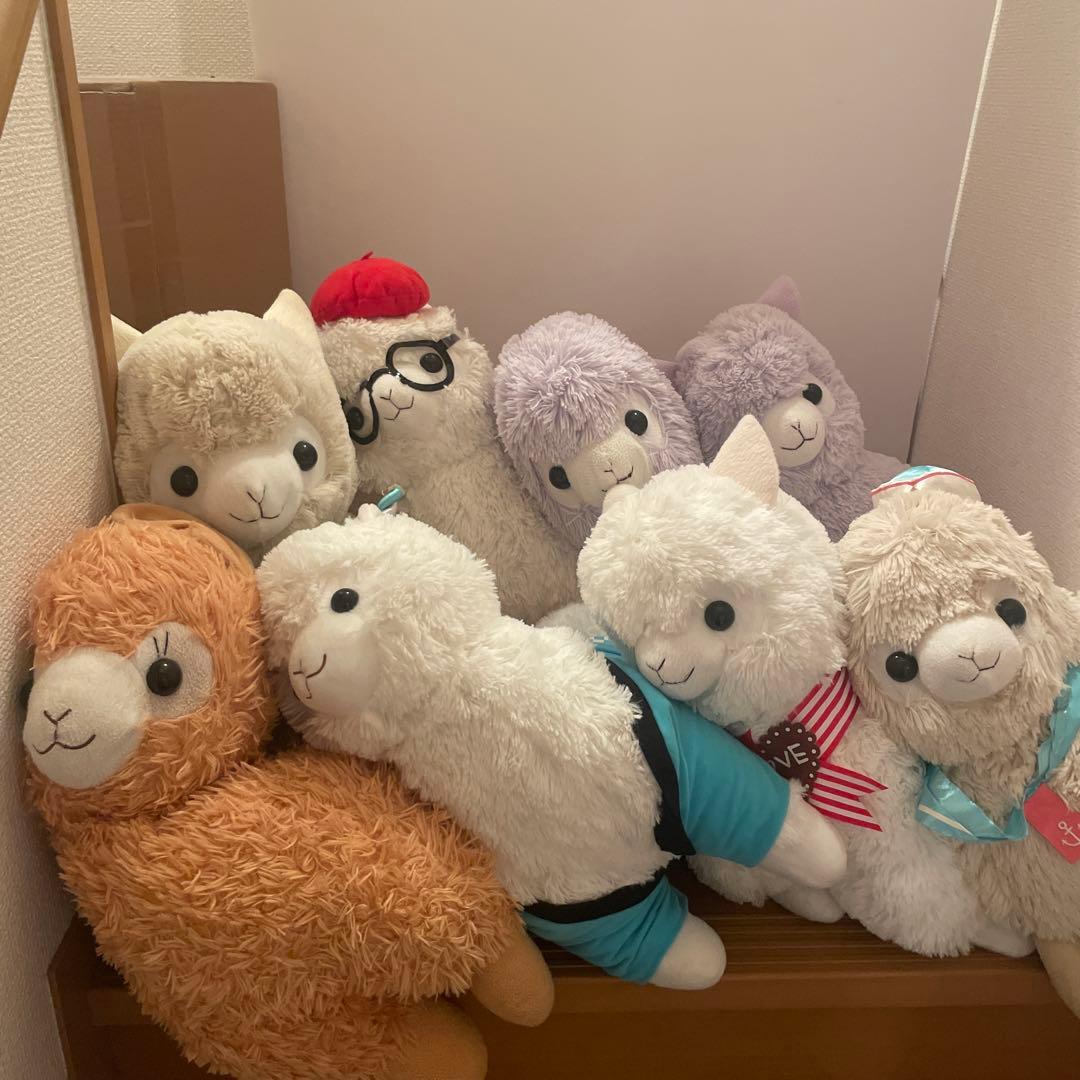 アルパカぬいぐるみまとめ売り