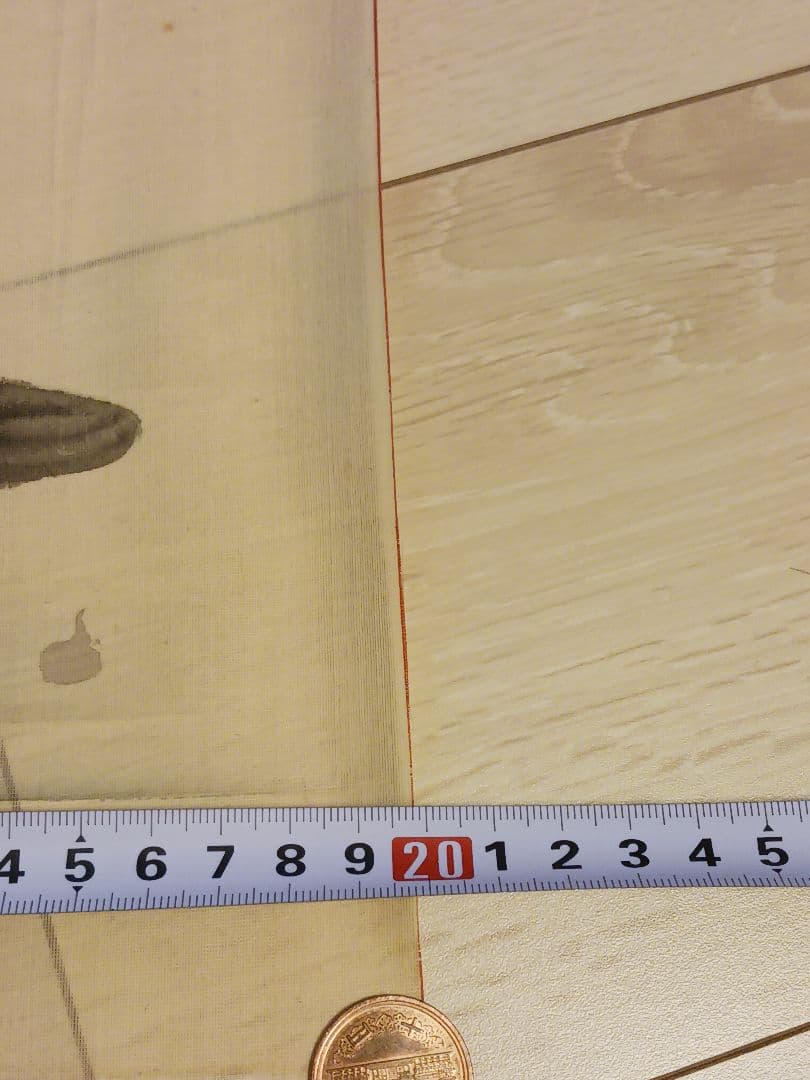 上田耕甫　明治～昭和時代画家　上田耕冲の子　大阪の人　絹本　肉筆　まくり　和