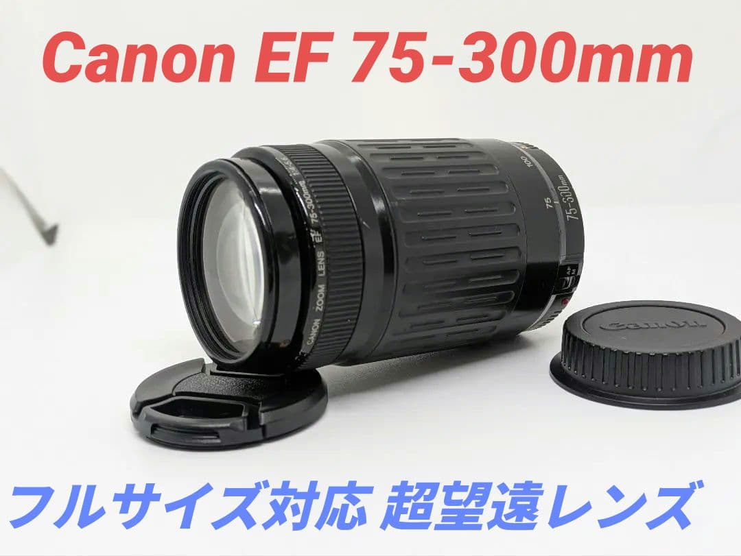 9月4日限定価格【超望遠レンズ】Canon EF 75-300mm