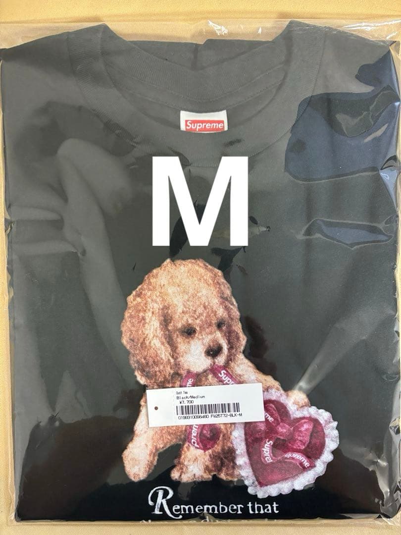 トップス Supreme Dust Tee \