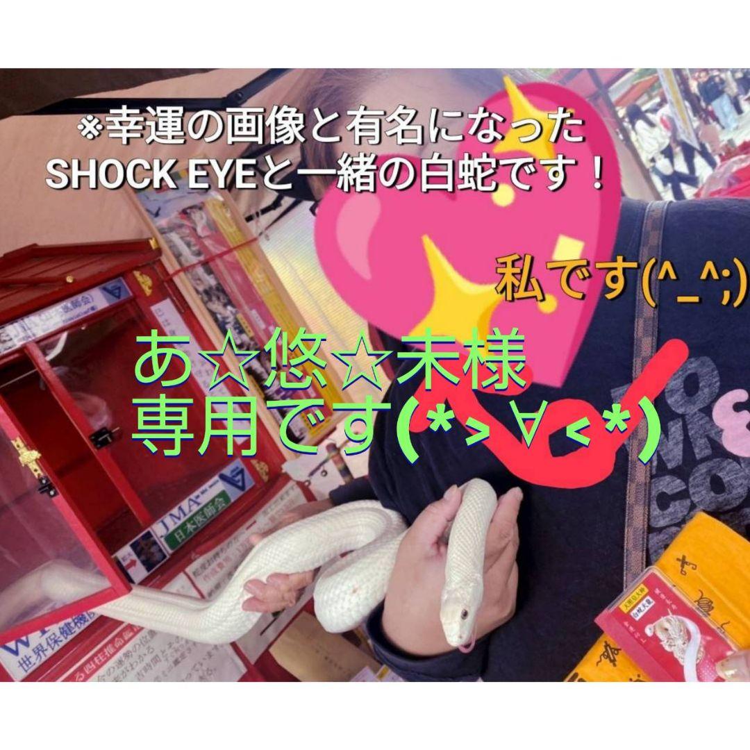 あ☆悠☆未ですヾ(。>﹏<。)ノ゛✧*。