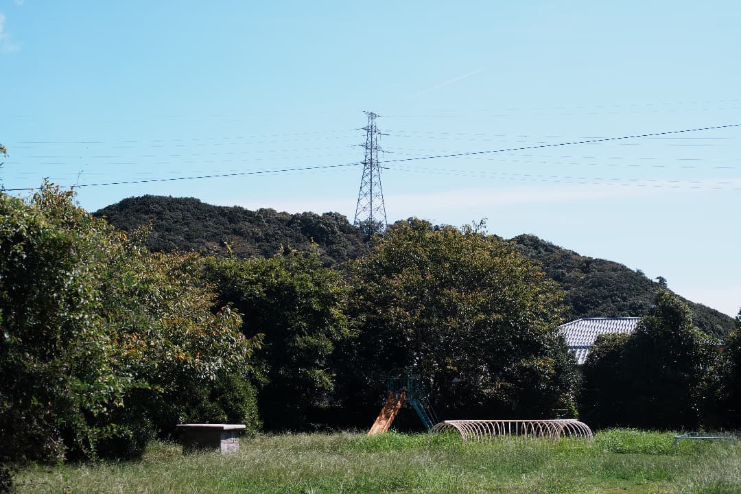 アダプターCarl Zeiss Planar 50mm F1.4 MMJ 762