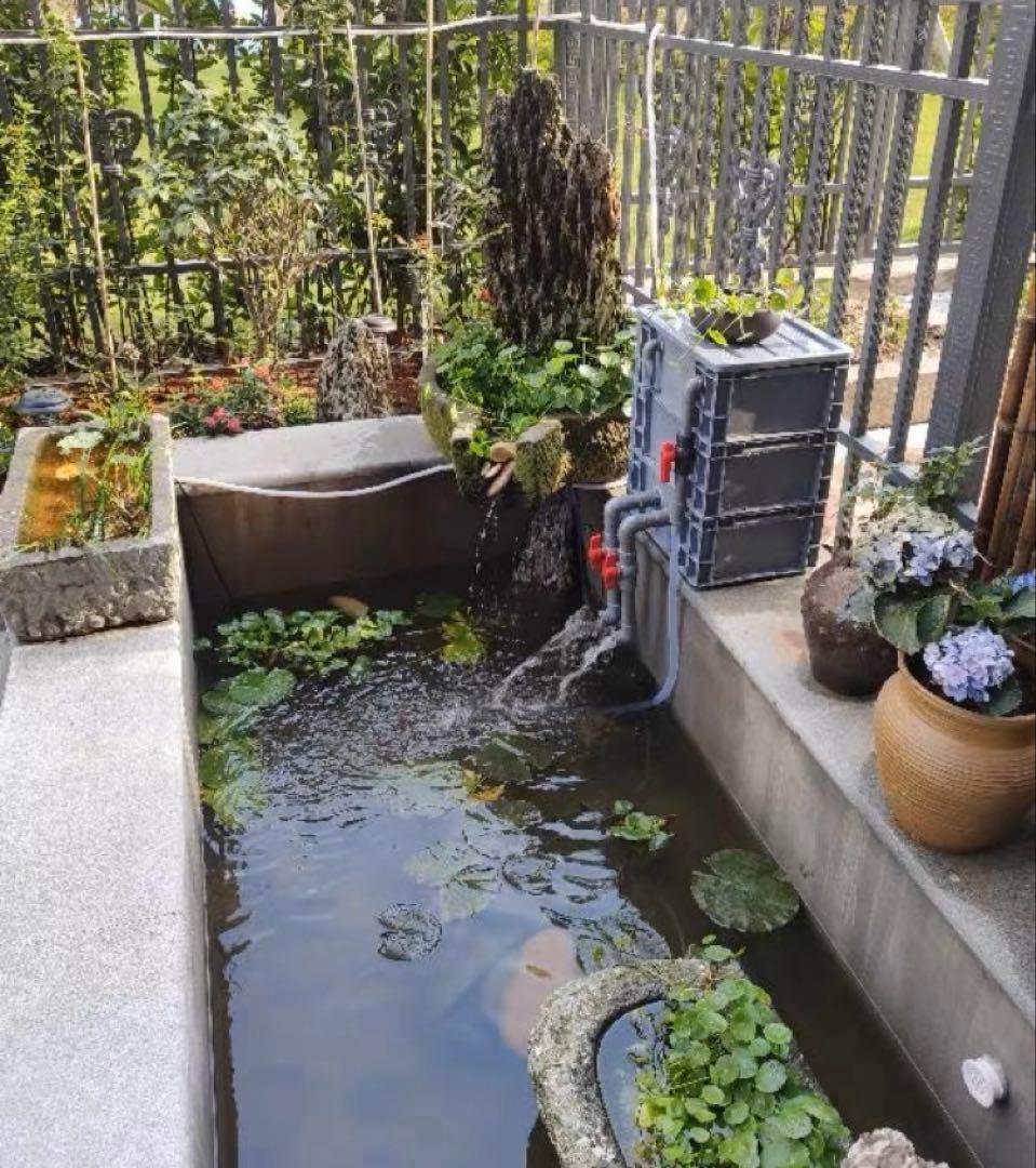 市場最安値、水中ポンプ25w付き大型水槽万能濾過装置濾過外部式濾過層送料込み