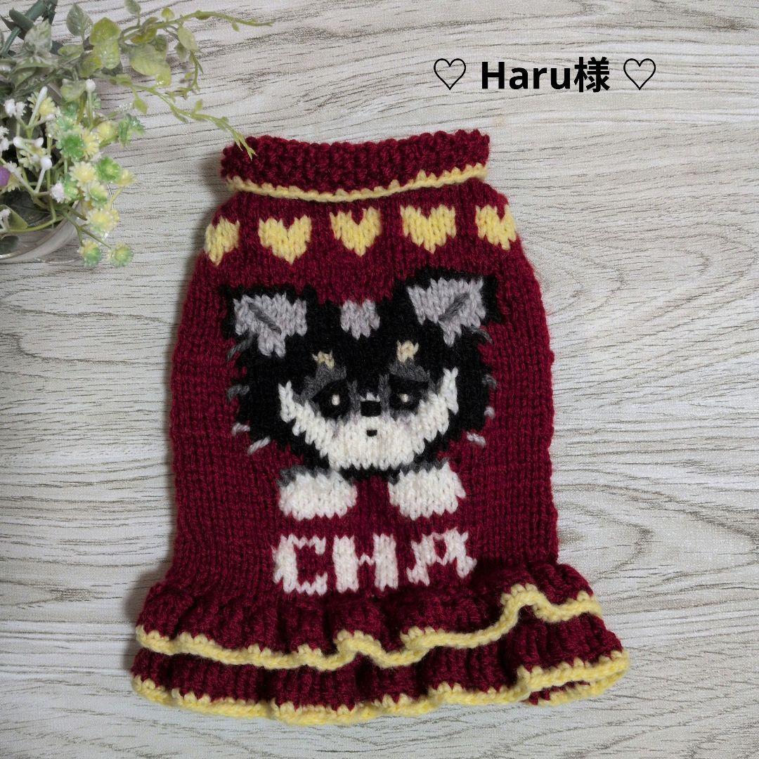 ☆ Haru☆様　ハンドメイド犬服ニット☆