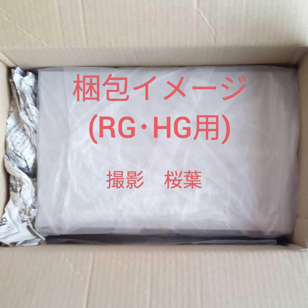 msv ガンプラ rg シンマツナガ 専用 高機動型 ザクII 未組立