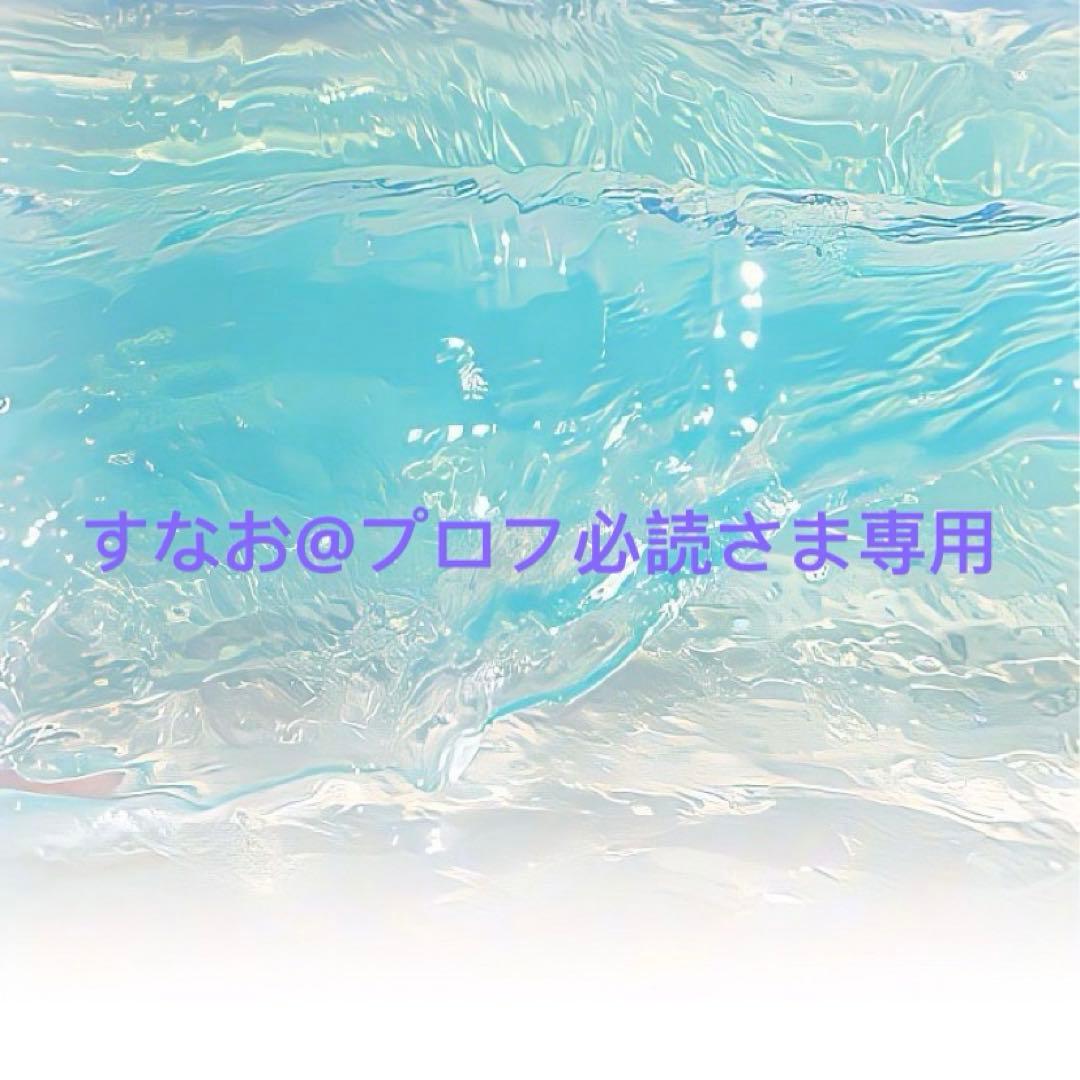 すなお@プロフ必読さま専用