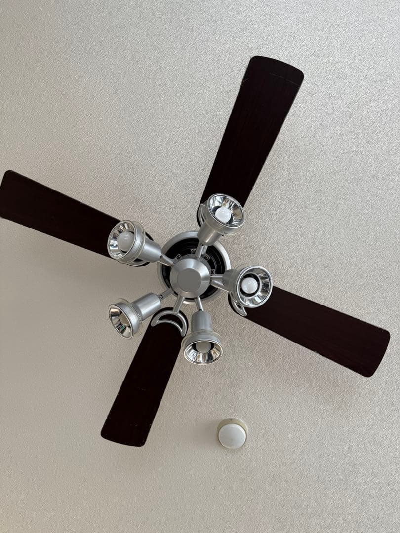 ODELIC シーリングファン 5灯付き