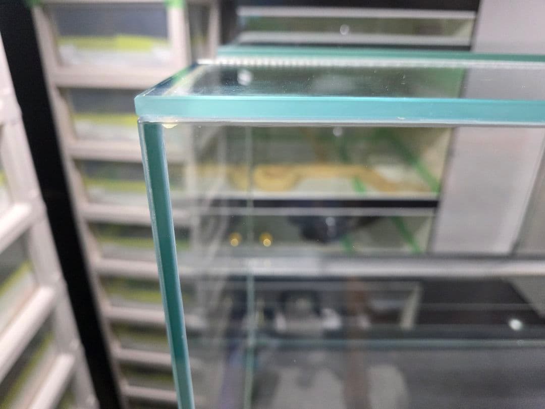 エーハイム ガラス ケージ １個 引取り