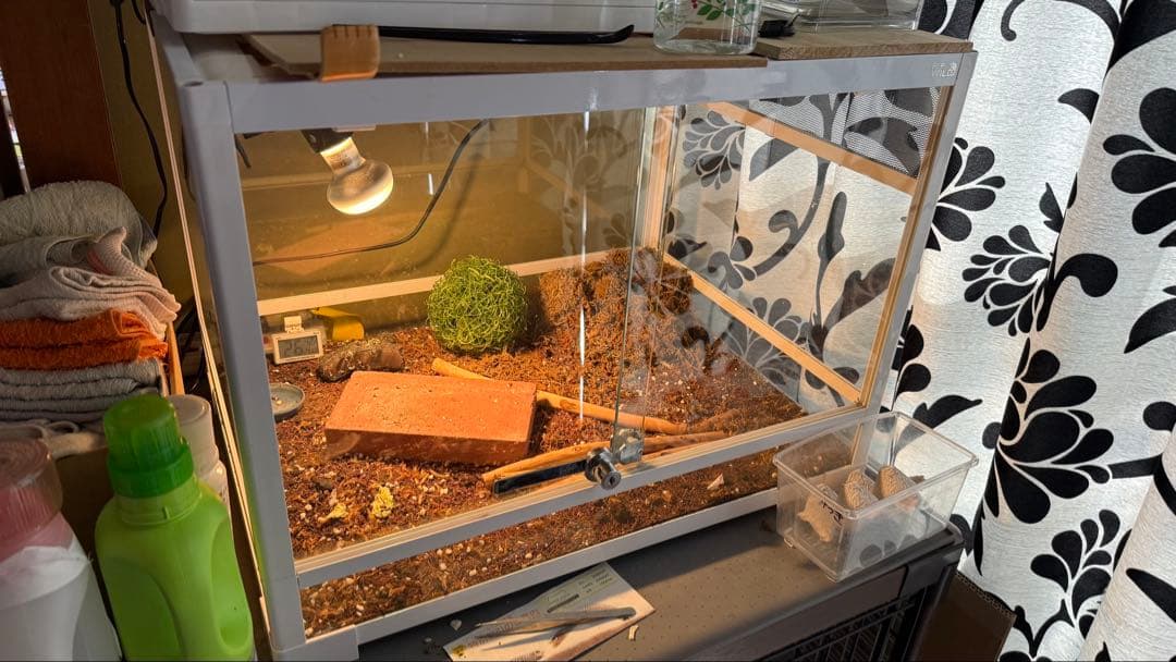 飼育ケージ 用品セット