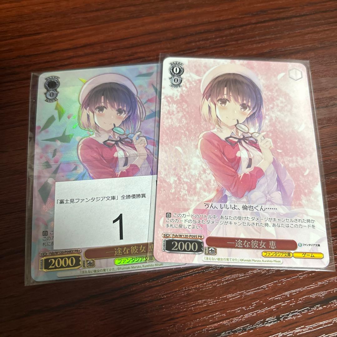 一途な彼女　恵　Fnh/W120-P09S PR+