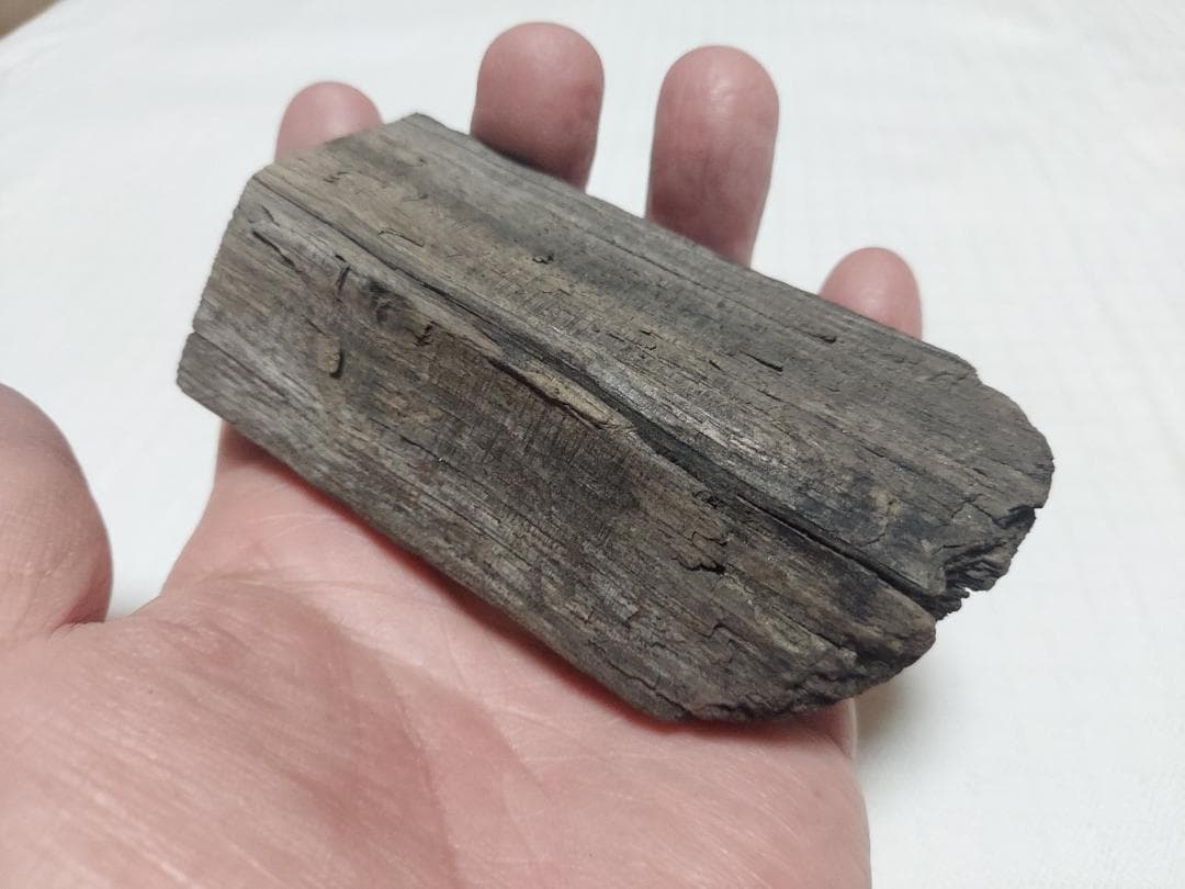 阿武隈川産 埋もれ木（割２）　新古今和歌集に詠まれた本物の伝承品