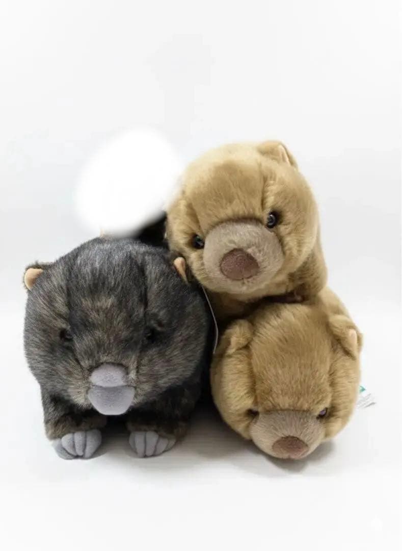 五月山動物園 ウォンバット ぬいぐるみ　タグ付き ワイン フク