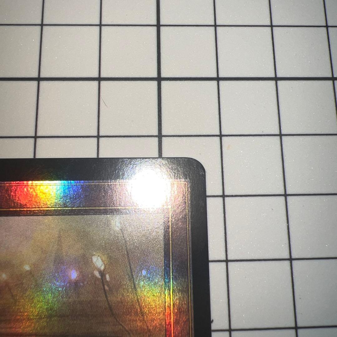 湿地の干潟　旧枠フォイル2枚