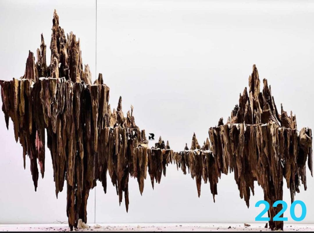 水槽用流木 自然なデザイン. 盆栽流木　の水槽、水草用の 流木。流木アクアリウム