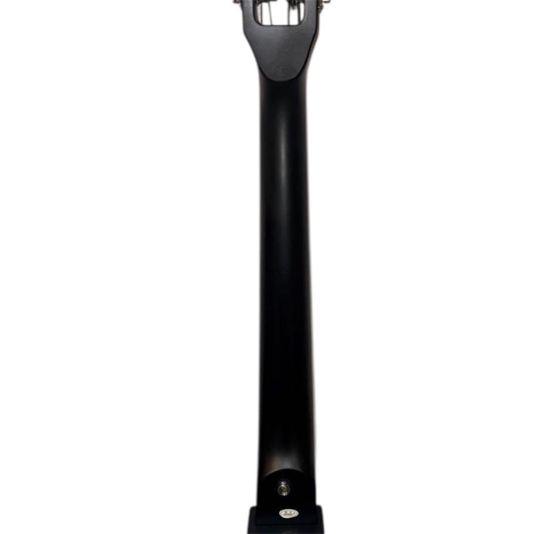 【美品】Hallstatt WBSE-850 KYB200アップライトベース