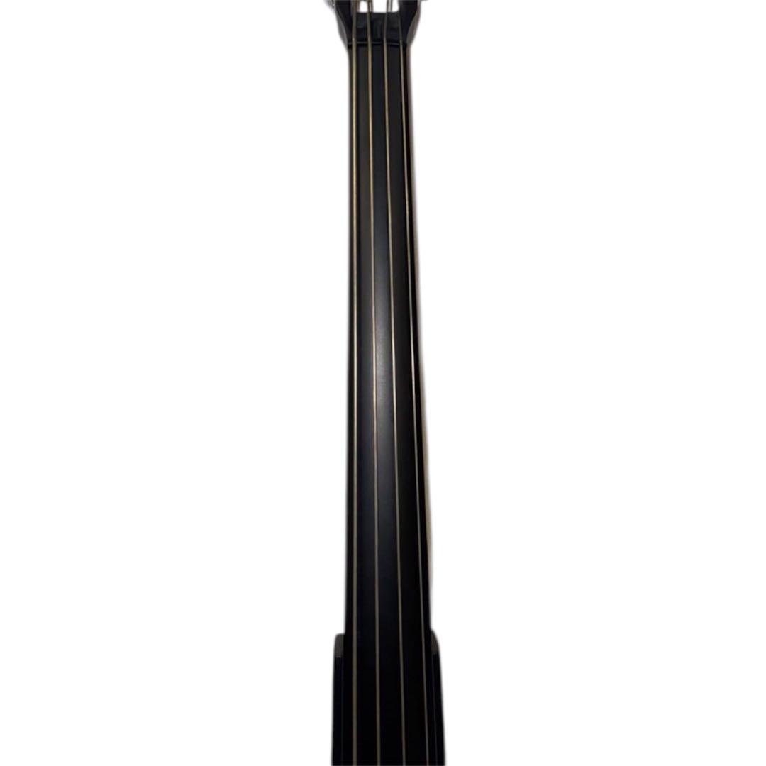 【美品】Hallstatt WBSE-850 KYB200アップライトベース