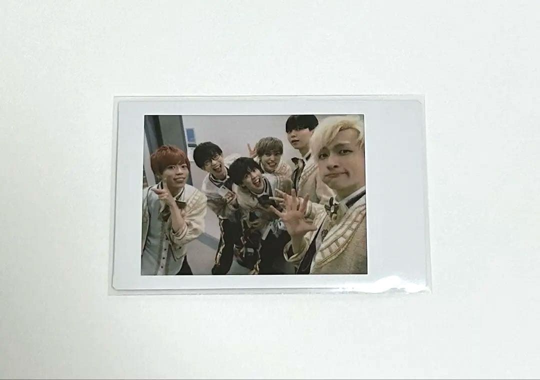 パンダドラゴン　混合　チェキ