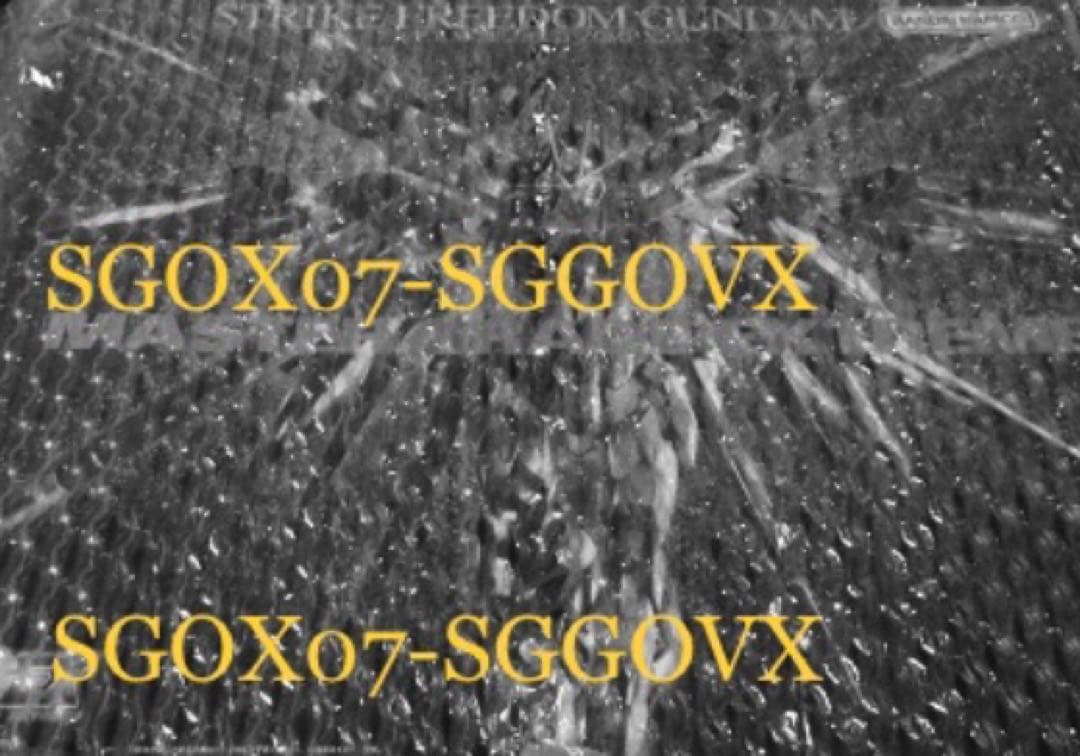 送料込み MGEX ストライクフリーダムガンダム メカニカルクリア