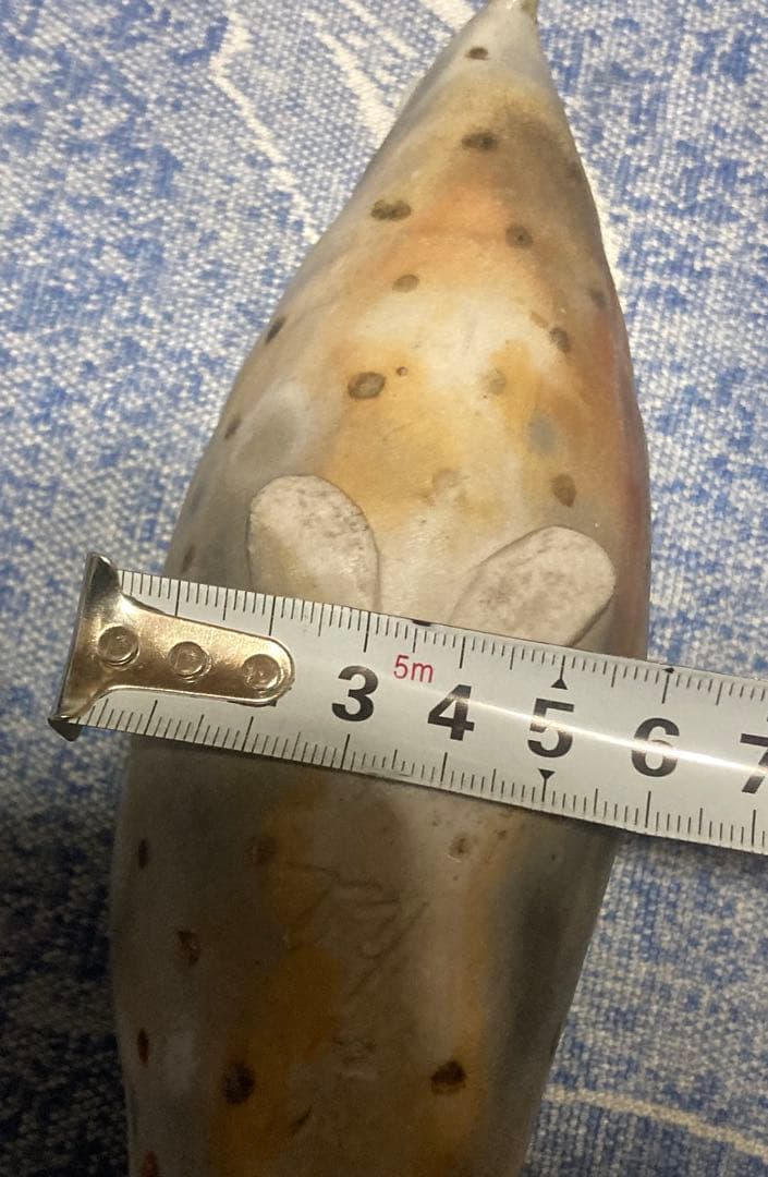 詳細不明 鳥の置物 陶器