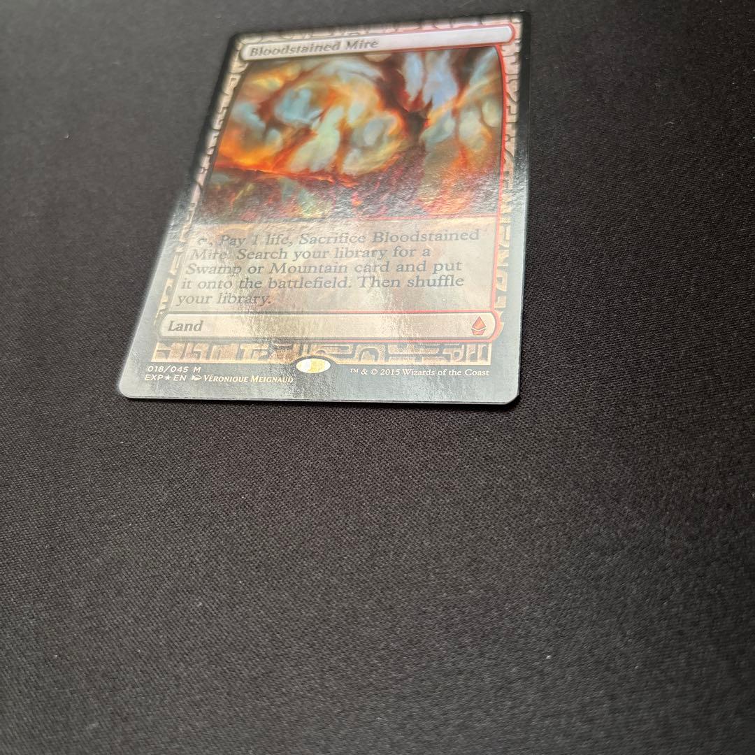 MTG 血染めのぬかるみ Foil EXP