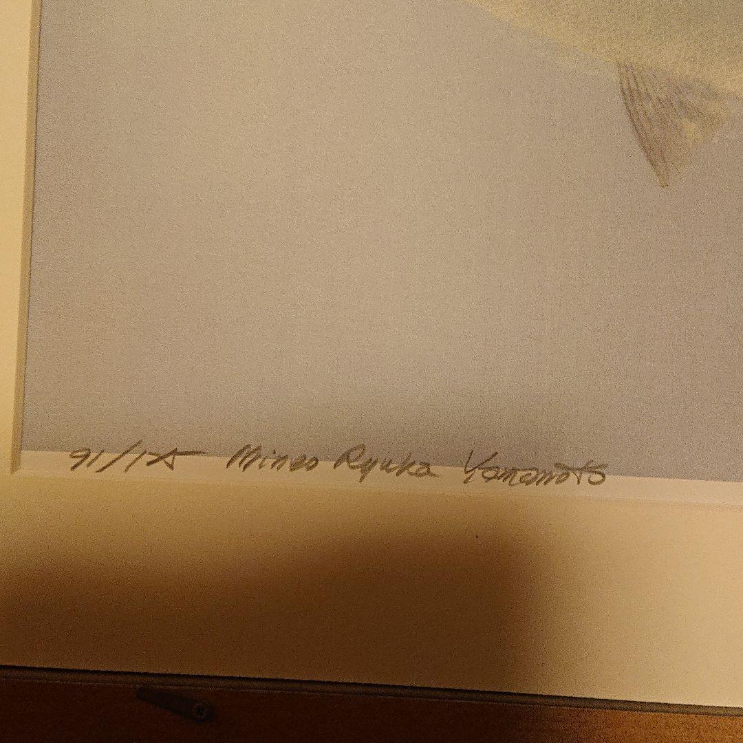 カラー魚拓 山本龍香作品 リトグラフ