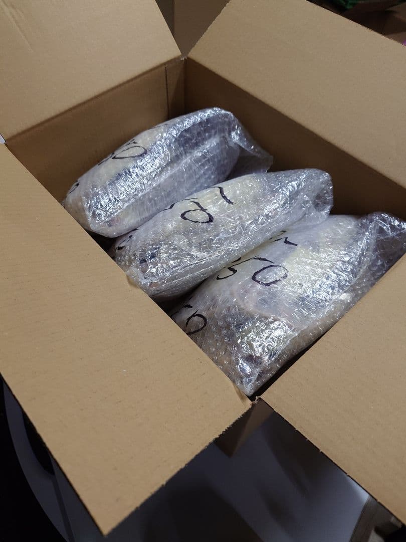 国産冷凍ラット 23g前後 80匹セット