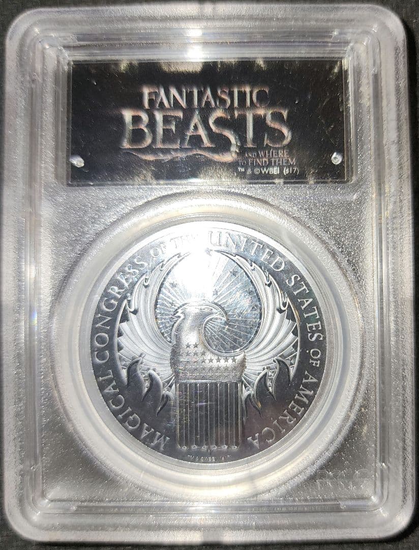 最終価格！(プロフ必読)超激レア ファンタビプルーフ