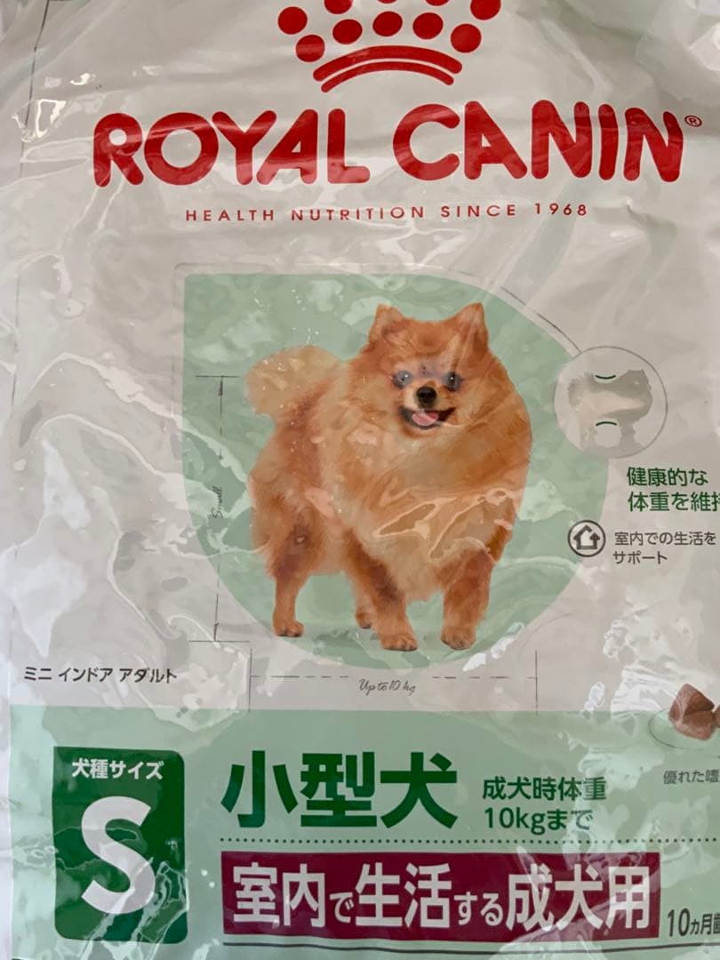ロイヤルカナン ミニインドア　アダルト　10キロ