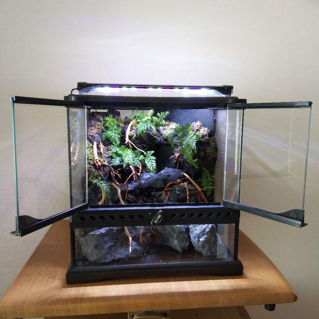 【オーダーメイド】滝のあるアクアテラリウム　苔テラリウム　アクアリウム