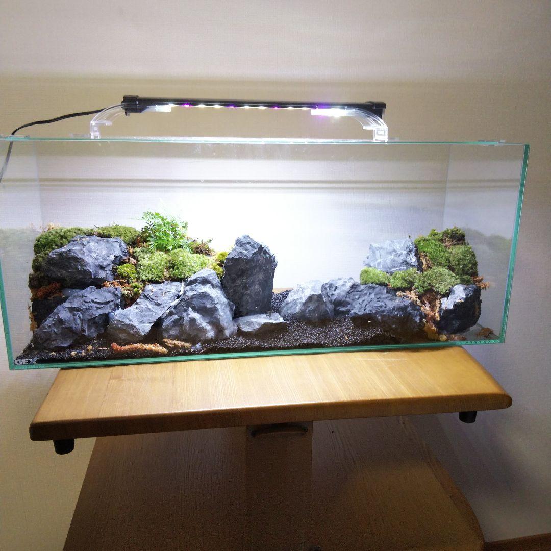 【オーダーメイド】滝のあるアクアテラリウム　苔テラリウム　アクアリウム