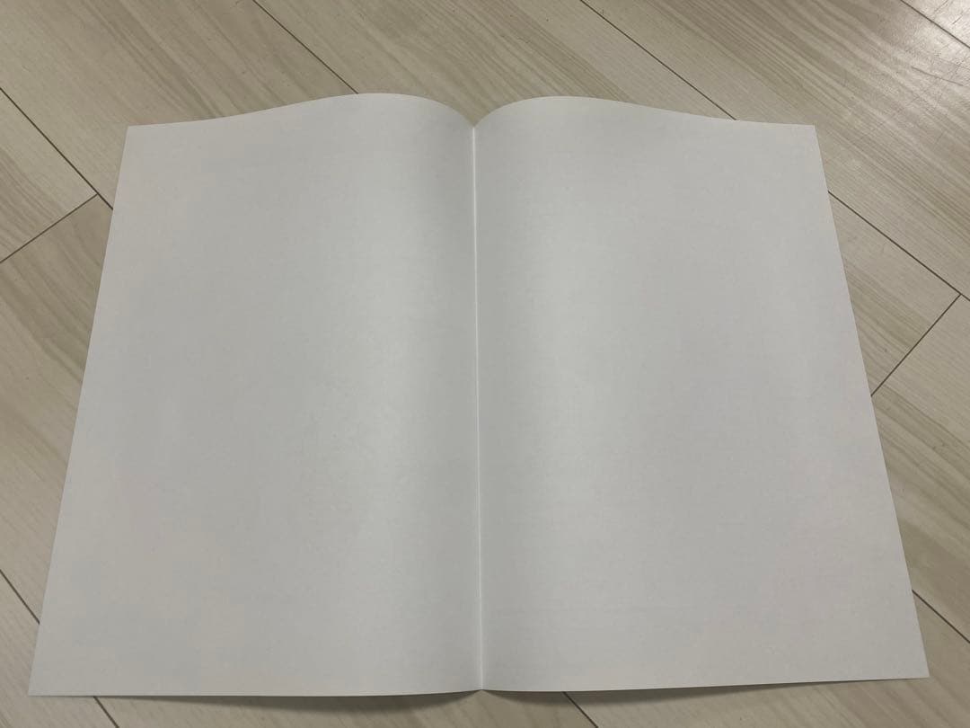 ピカチュウ　婚姻届　限定品　非売品