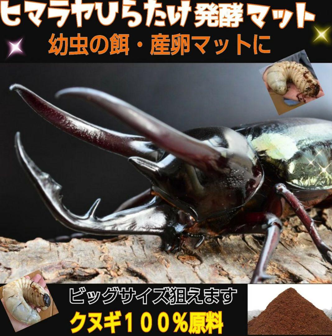 80リットル☆ヒマラヤひらたけ発酵カブトムシマット　幼虫が巨大化します！栄養抜群