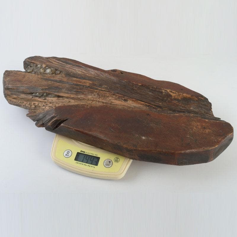 天然木　敷板　飾台　煎茶台　重さ約1443ｇ　V　9350