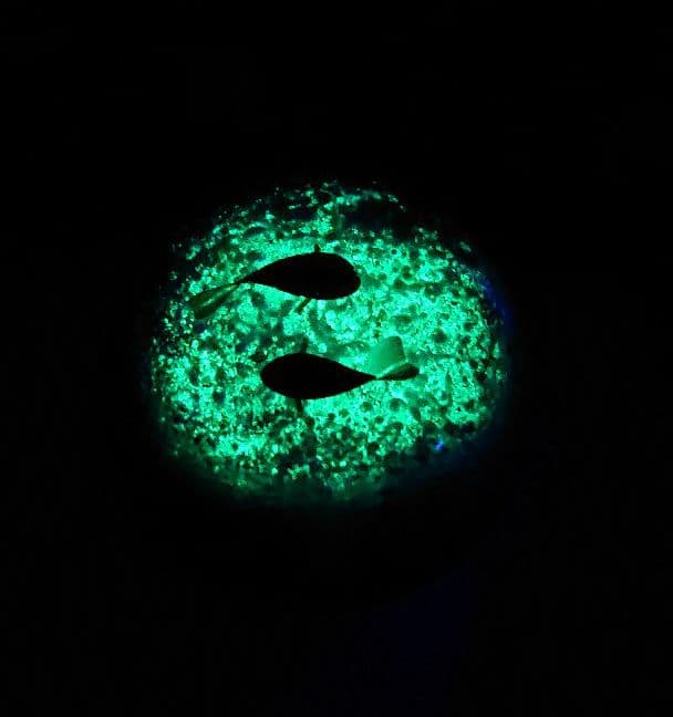 貴重です！ 増永元さん彩元堂 とんぼ玉 光る魚石