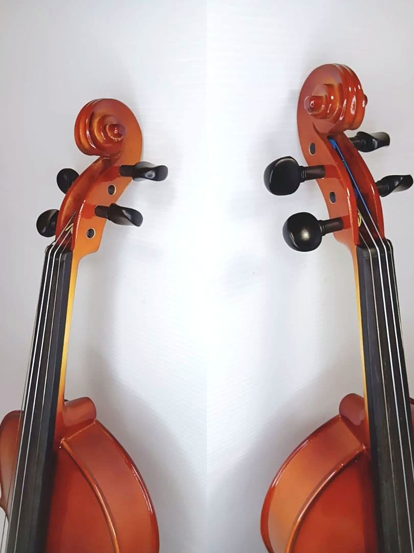 ✨美品✨カルロジョルダーノ VS-1 バイオリン セット 弓 ケース 他