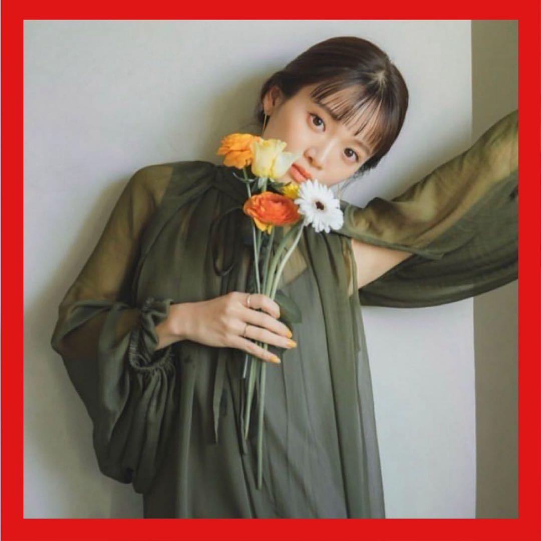 pinue シフォン ドレス　グリーン